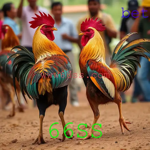 Rinha de galos